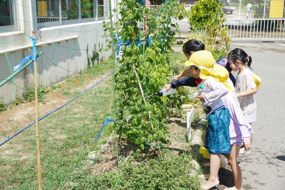 クララ幼稚園 夏季保育（Bグループ、Cグループ）