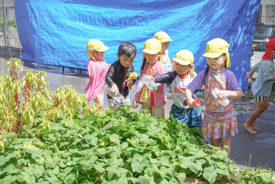 クララ幼稚園 夏季保育（Bグループ、Cグループ）